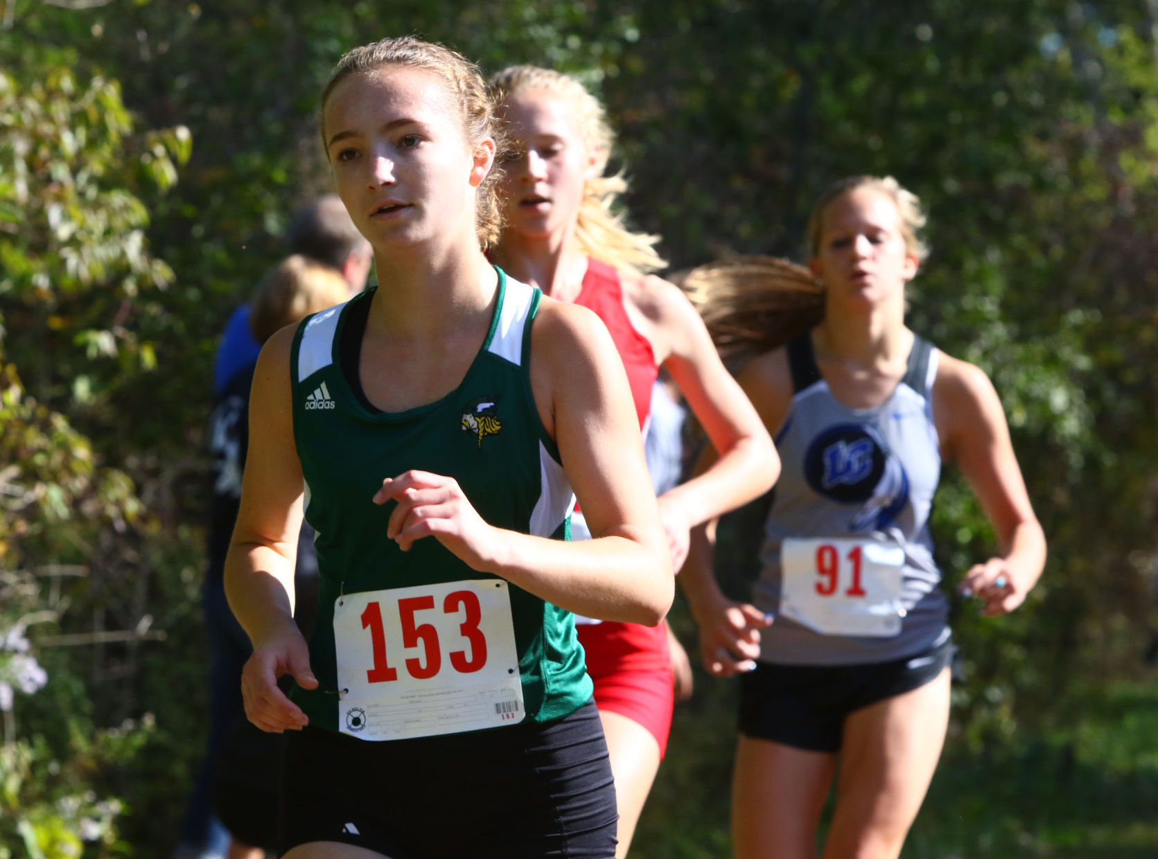 Gallery: Duneland Athletic Conference cross country meet